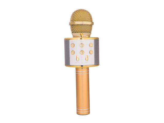 Micro karaoké Bluetooth avec fonction enregistrement et carte micro-SD - Or